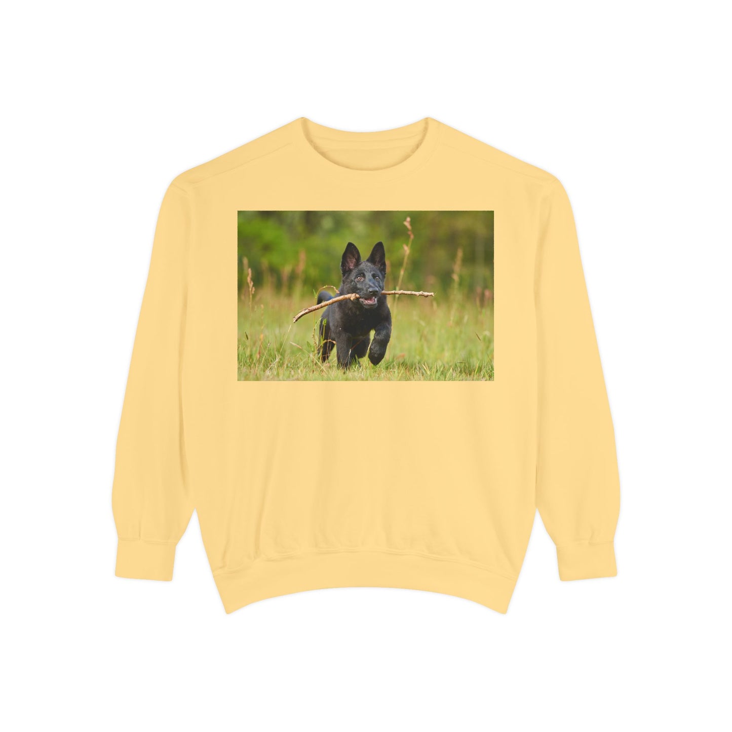 Unisex Dog Lover Sweatshirt With Black German Shepherd Puppy Running on the Grass Holding a Stick in the Mouth
