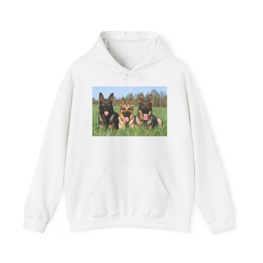 A Dog Lover Hoodie With Three Giant German Shepherds Lying on The Grass Leaving Tongues Out