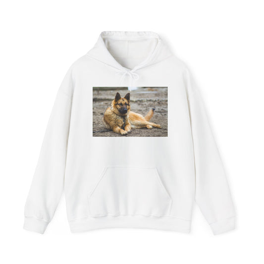 Unisex Hoodie With a Beautiful Tan German Shepherd Lying on the Ground