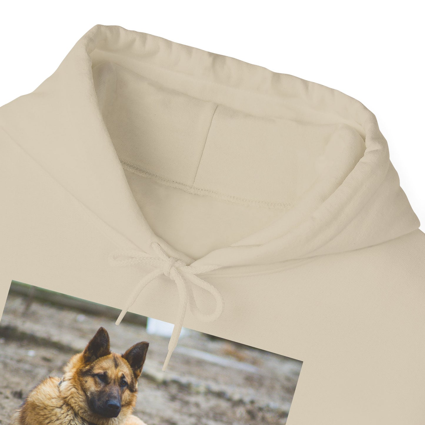Unisex Hoodie With a Beautiful Tan German Shepherd Lying on the Ground