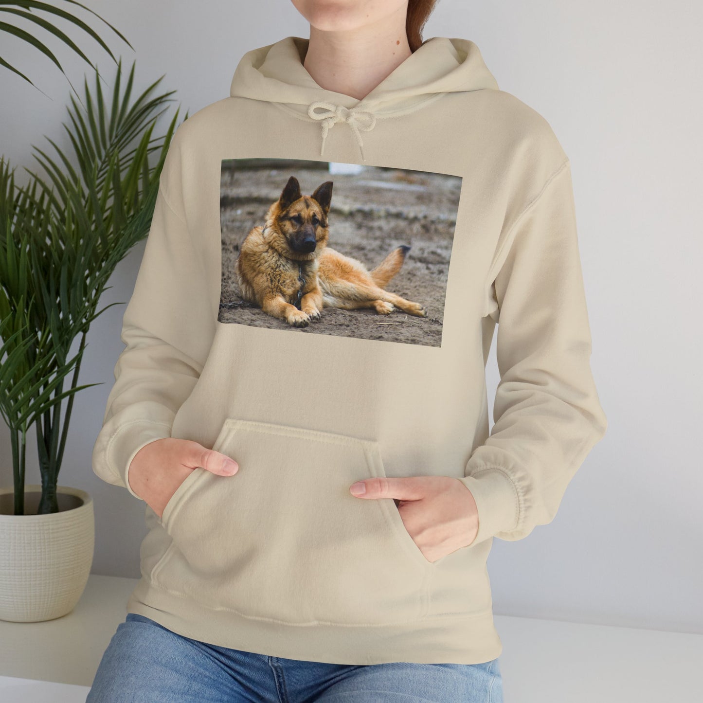 Unisex Hoodie With a Beautiful Tan German Shepherd Lying on the Ground