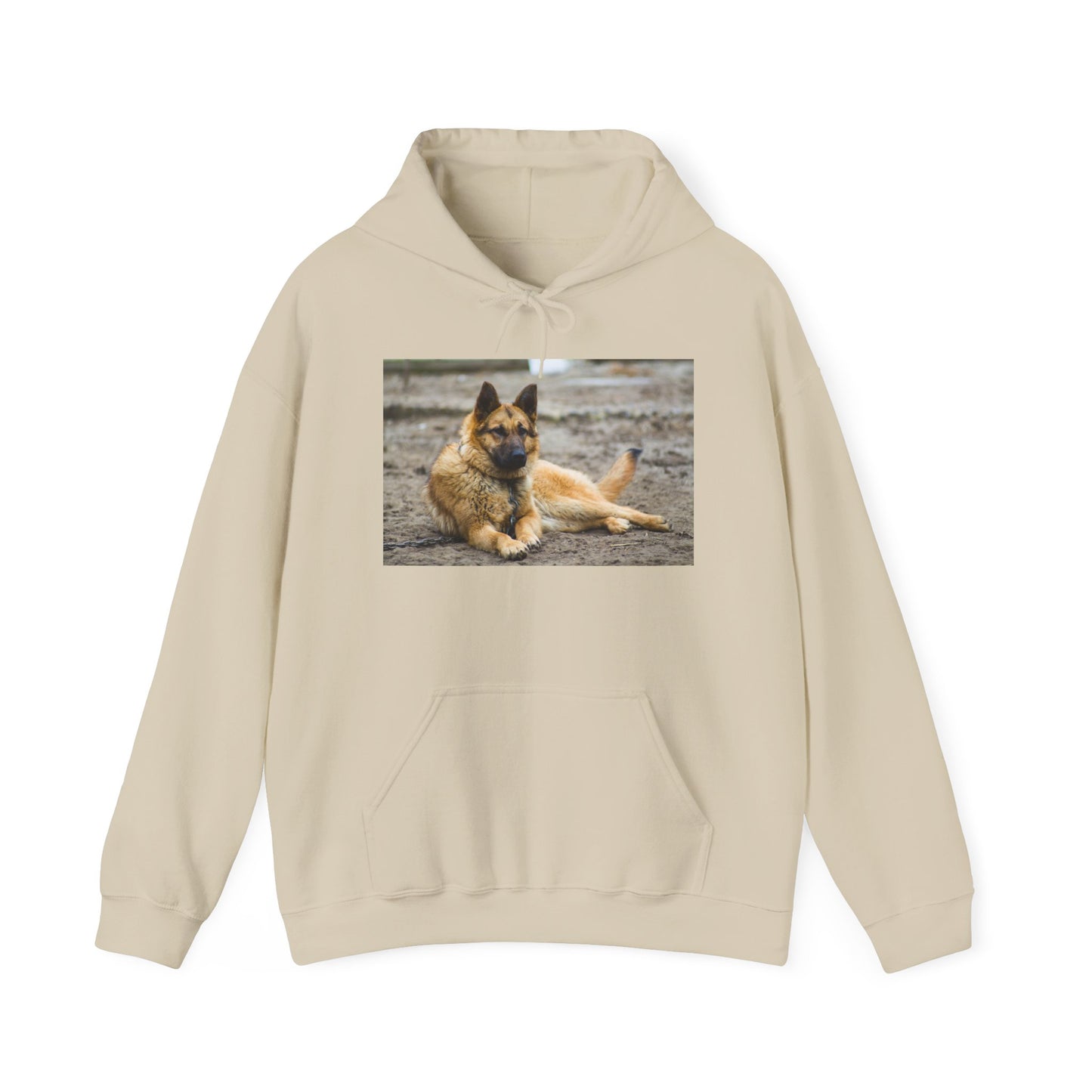Unisex Hoodie With a Beautiful Tan German Shepherd Lying on the Ground