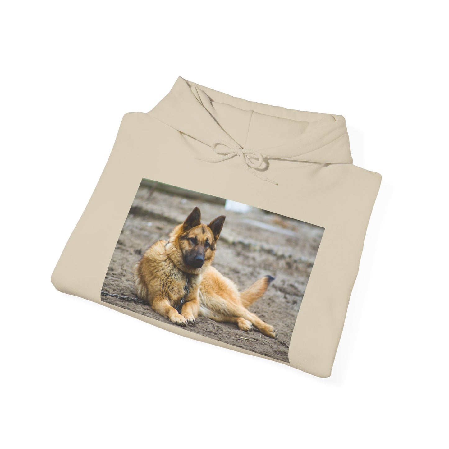 Unisex Hoodie With a Beautiful Tan German Shepherd Lying on the Ground