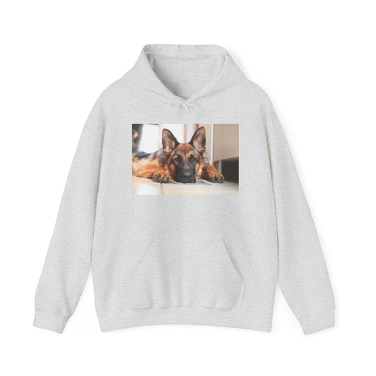 A Unisex Hoodie With a German Shepherd Lying His Head on the Floor