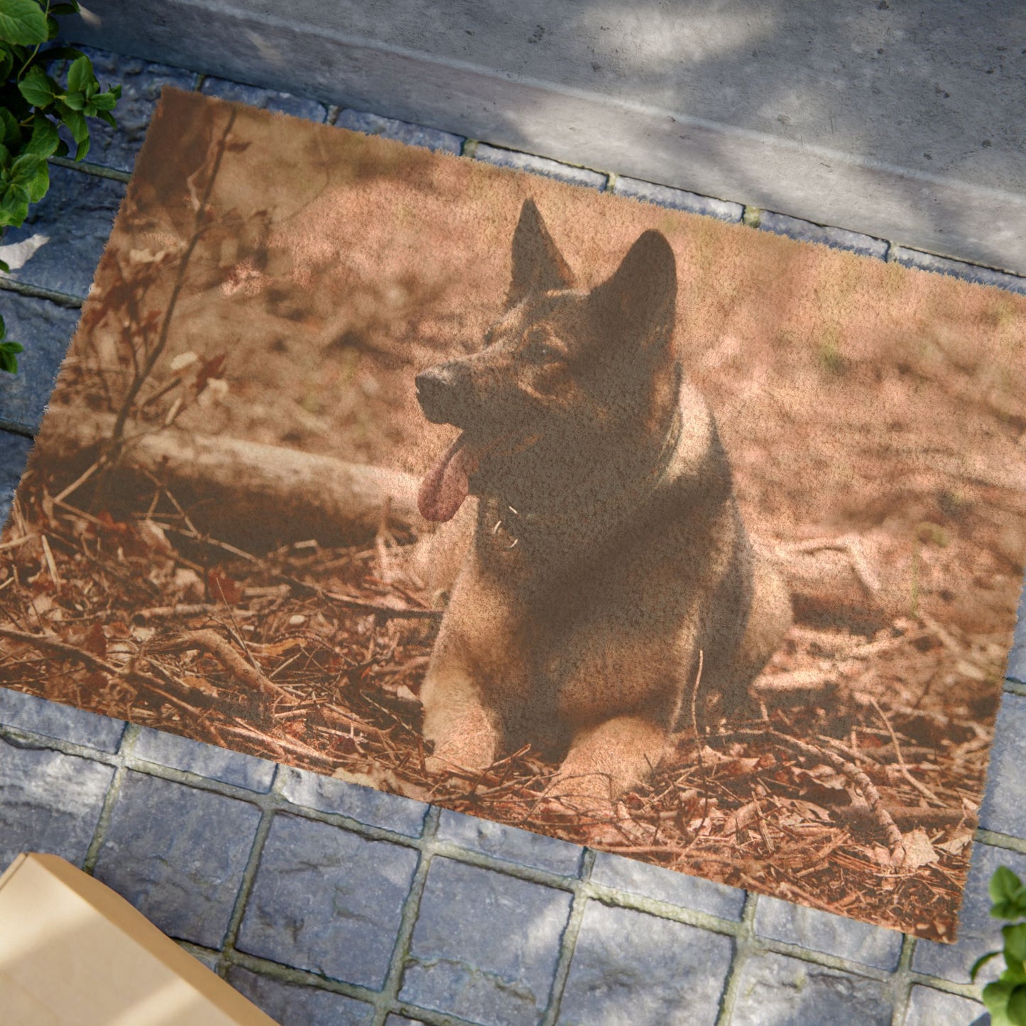 Outdoor Dog Lover Doormat Featuring a Working Line German Shepherd Resting on the Ground