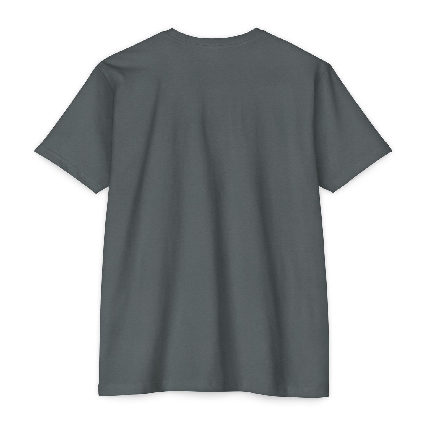 Motivational Fitness T-Shirt – "Push Your Self" - Cool Graphic Tee, Workout Shirt, Gift for Gym Lovers, Unisex Activewear, Casual Wear