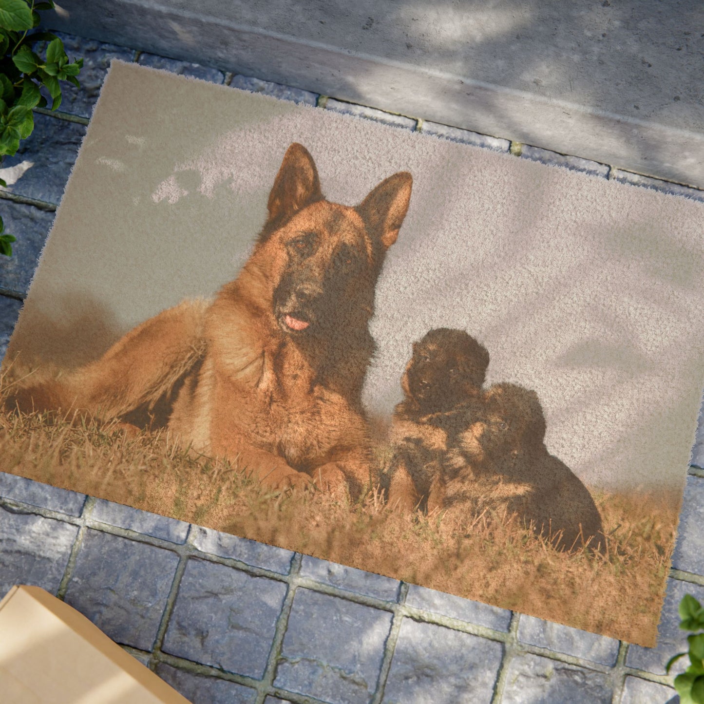 Personalized Dog Family Doormat - German Shepherd and Two Puppies Resting on Vast Field