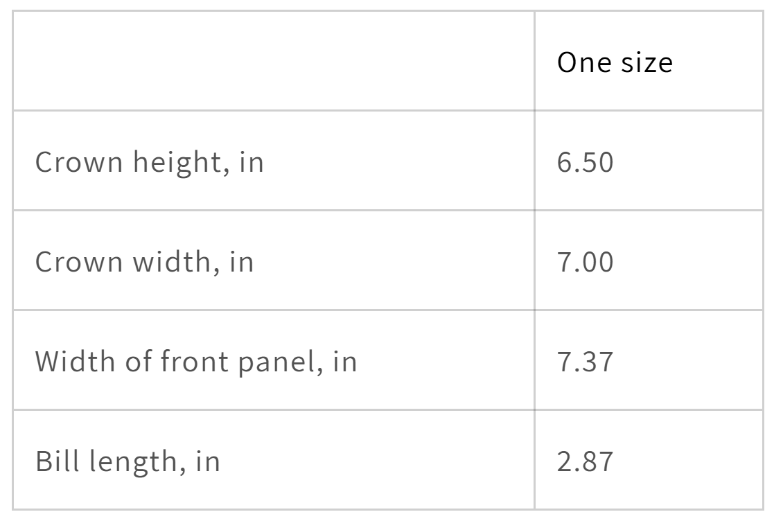 Dog Lover's Distressed Hat - I Have a German Shepherd