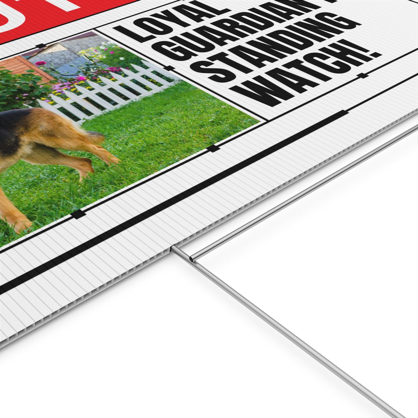 Caution German Shepherd Plastic Yard Sign - Loyal Guardian Is Standing Watch